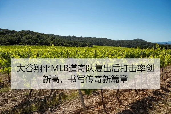 大谷翔平MLB道奇队复出后打击率创新高，书写传奇新篇章